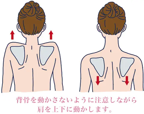 肩甲骨のアップダウンストレッチ