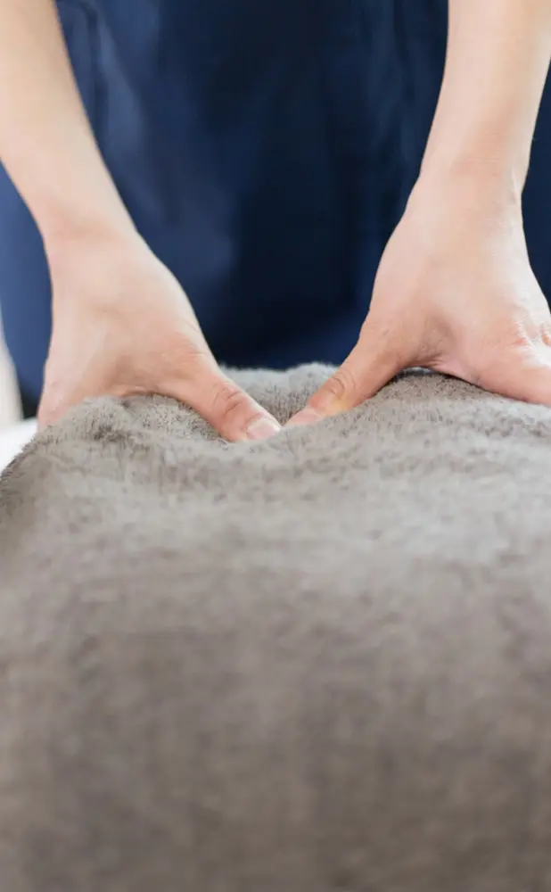 もみほぐしで日頃の疲れをリフレッシュPC