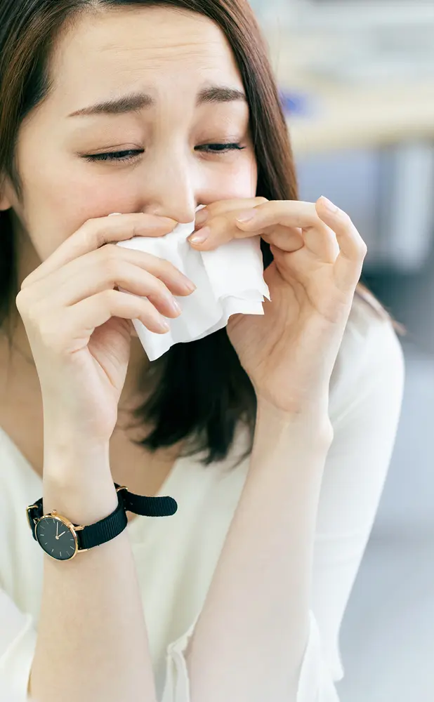 花粉症についてについてPC