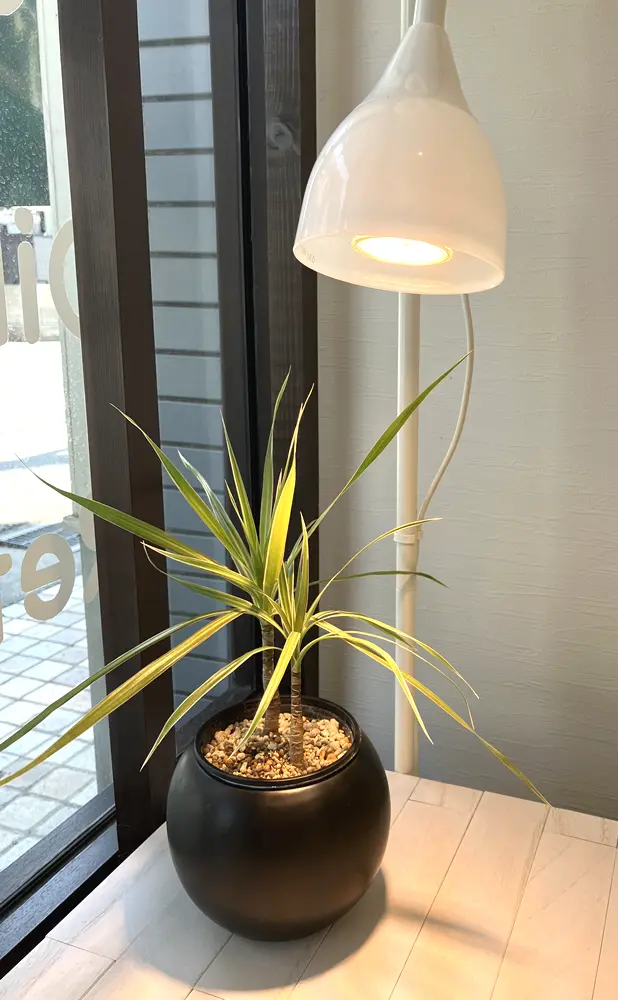 ハンドマッサージ in 甲子園口オハコバコPC