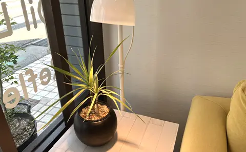 ハンドマッサージ in 甲子園口オハコバコSP